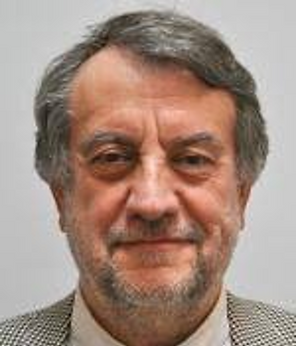 Professor Raymond Saner.png